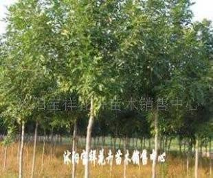 供應電線電纜填充用高檔麻線_紡織、皮革_世界工廠網中國產品信息庫